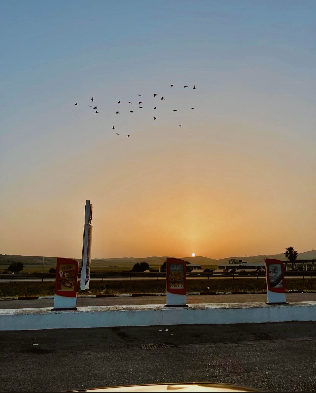 Portrait lifestyle naturel et authentique