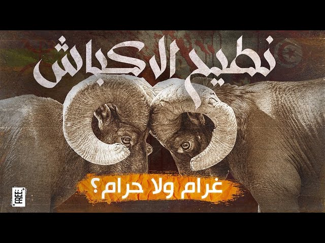 Clip Musical - Production complète