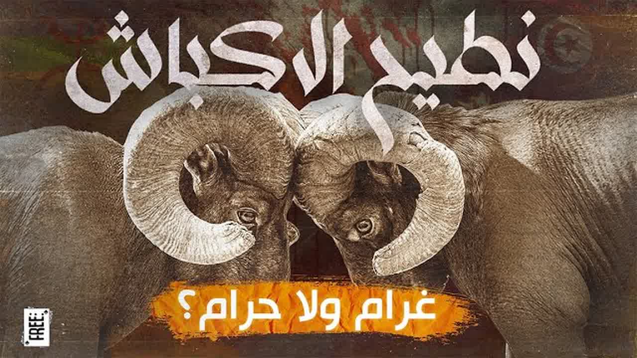 Title card showing two rams locking horns.