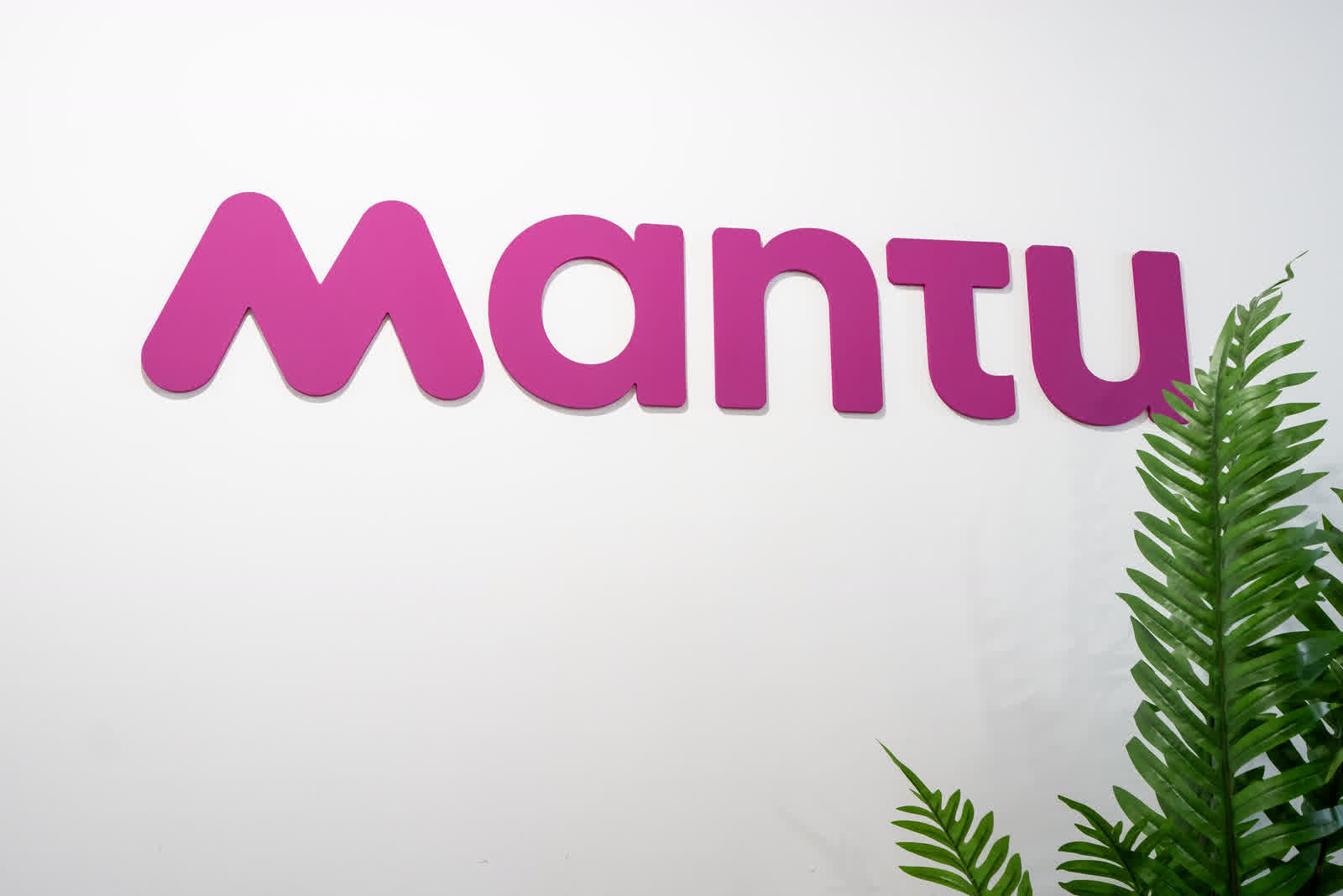 A moulded logo sign on a white office wall beside a green plant.